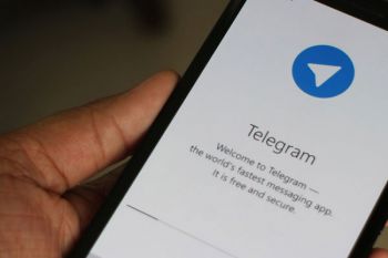 Telegram стал подспорьем для интернет-пиратов